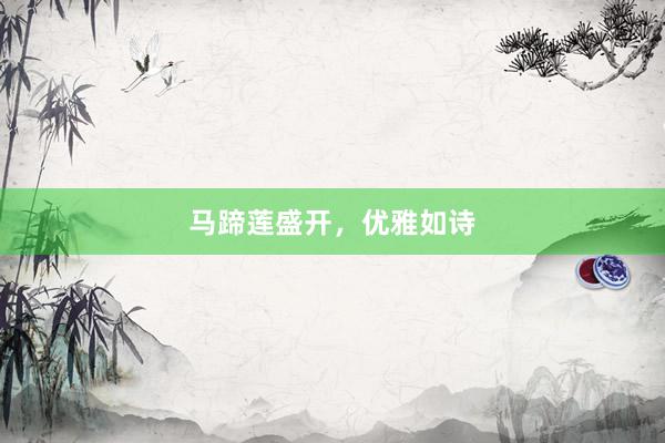 马蹄莲盛开，优雅如诗